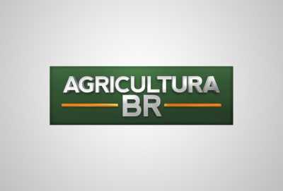 Agricultura BR