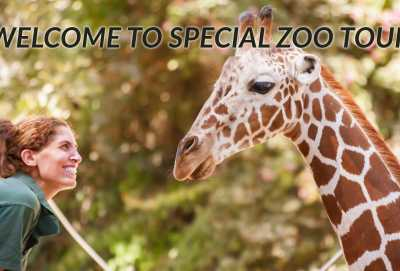 Welcome to Special Zoo Tour