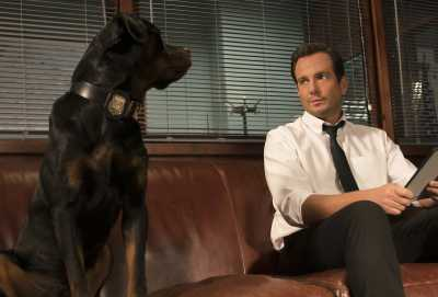 Show Dogs - O Agente Canino