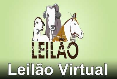 Leilão Virtual