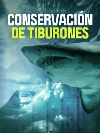 Conservación de tiburones