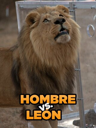Hombre vs. León