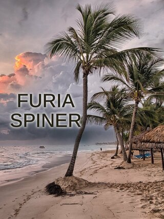 Furia Spiner