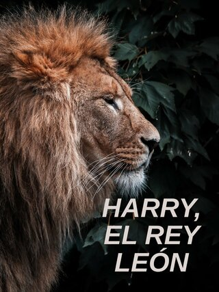 Harry, el rey león