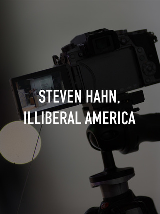 Steven Hahn, Illiberal America