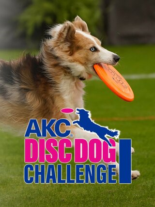 AKC Disc Dog Challenge 2023