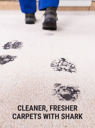 Cleaner, Fresher Carpets with Shark