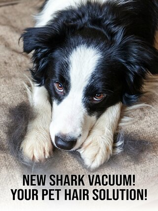 NEW Shark Vacuum! Your Pet Hair Solution!