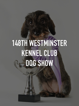 148th Westminster Kennel Club Dog Show
