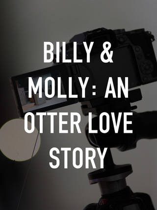 Billy & Molly: An Otter Love Story